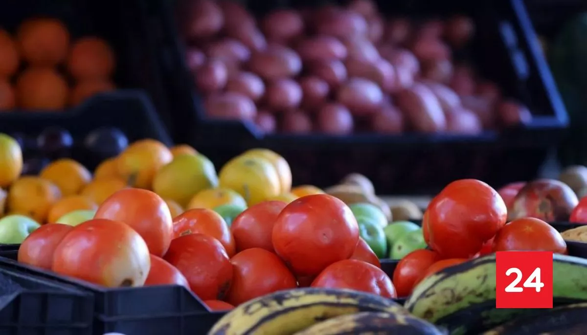 #Economía 

Canasta básica de alimentos supera los $90.000 por persona: estos son los alimentos que subieron de precio 

Más detalles ⬇