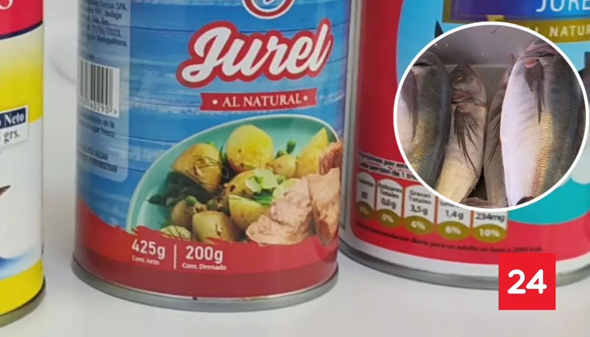 Vendían caballa como jurel: estas son las cinco nuevas marcas que enfrentan sumarios por engañar a consumidores