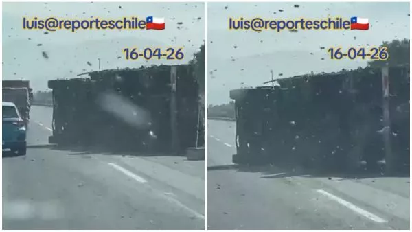 camión que transportaba abejas se volcó en la Ruta 5 Norte