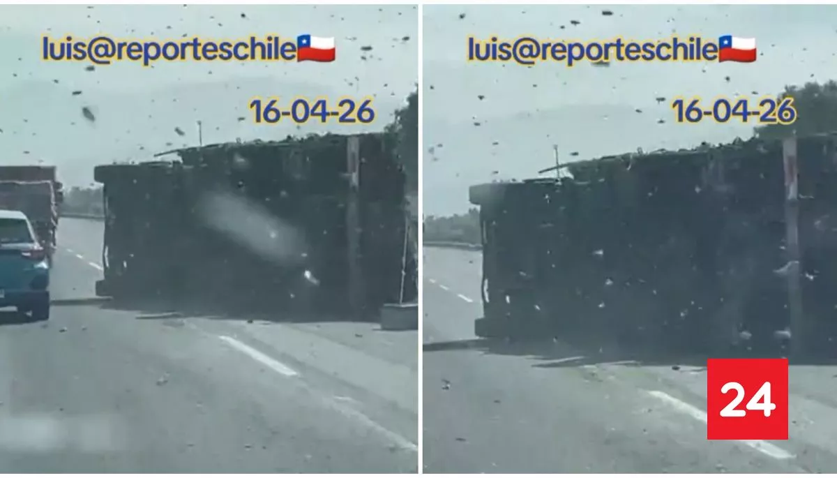 VIDEO: camión que transportaba abejas se volcó en la Ruta 5 Norte
