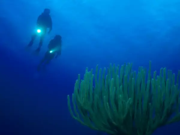 Qué hay detrás del misterio de la 