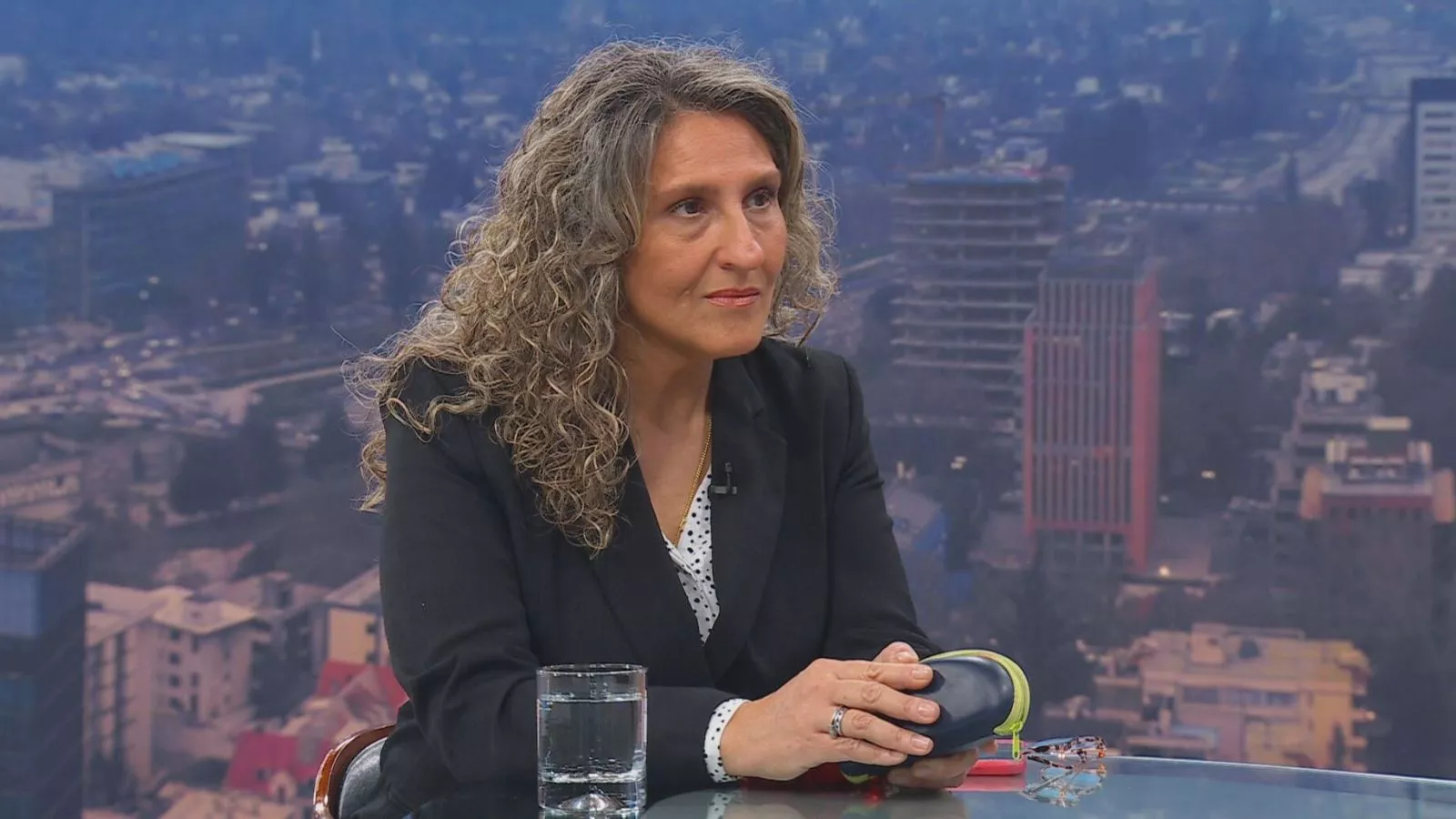 Subsecretaria de Prevención del Delito: 