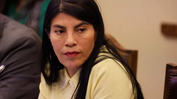 Tres estudiantes de la UACh detenidos por agresión a ministra Lincolao en Valdivia