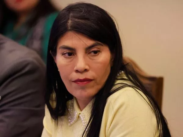 Tres estudiantes de la UACh detenidos por agresión a ministra Lincolao en Valdivia