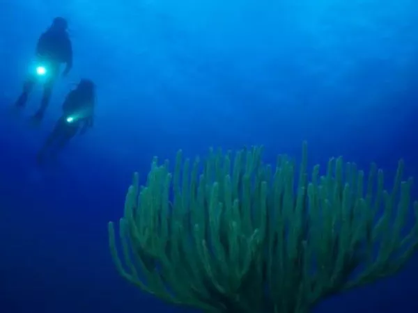 Qué hay detrás del misterio de la 