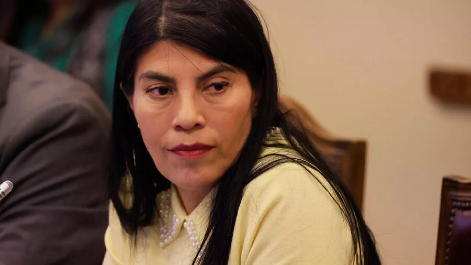 Tres estudiantes de la UACh detenidos por agresión a ministra Lincolao en Valdivia