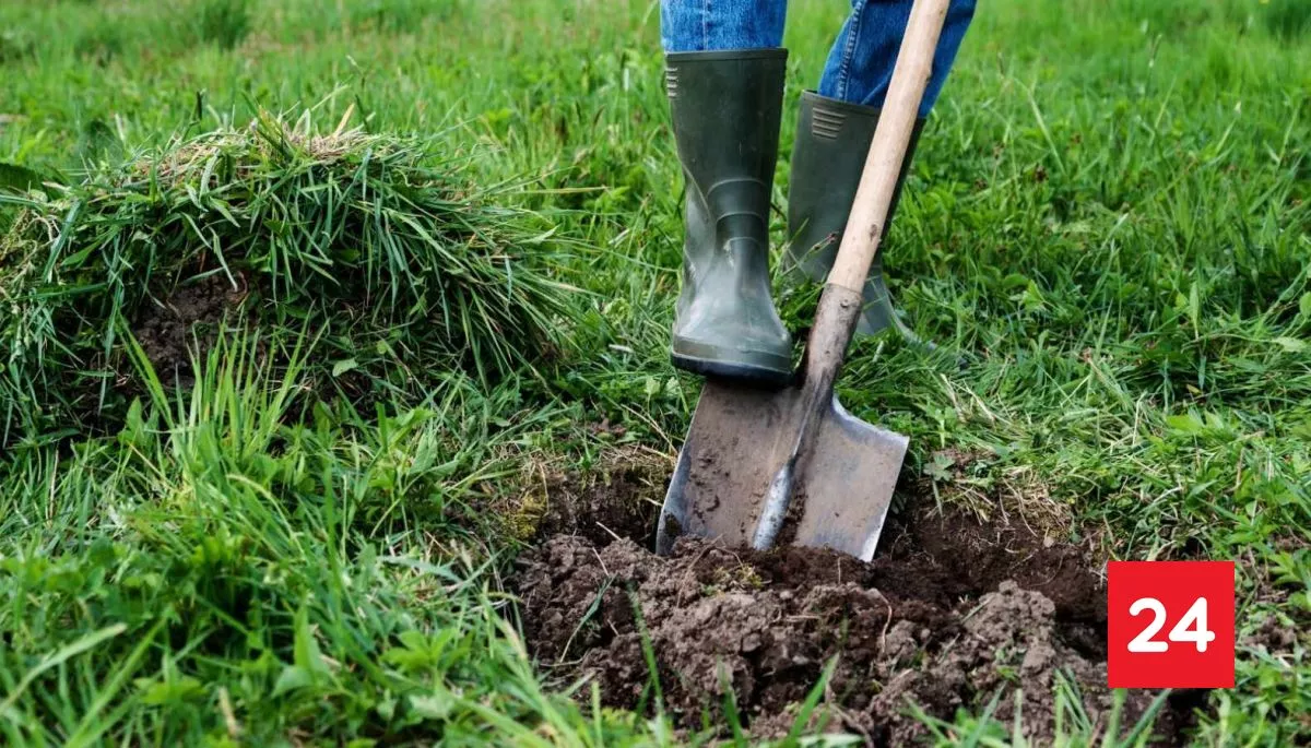 Niño de 12 años encontró a su madre enterrada en el patio de su casa en Argentina