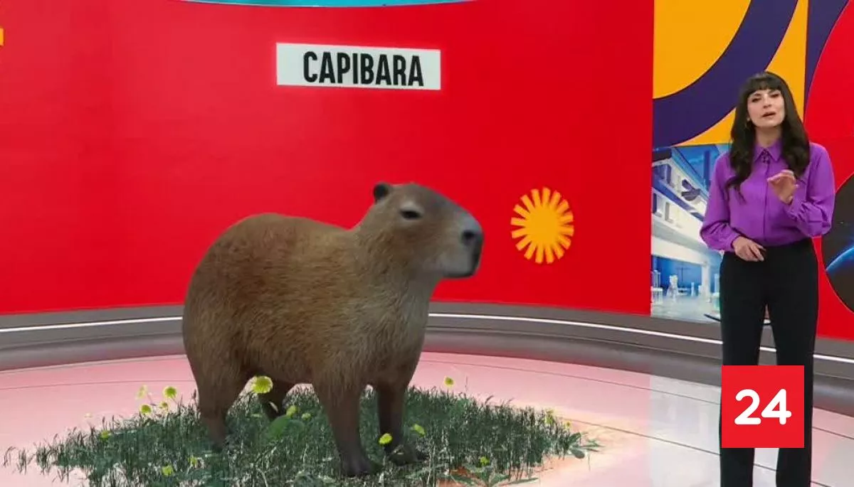 Revivamos Conciencia 24.7: Proyecto RIEN