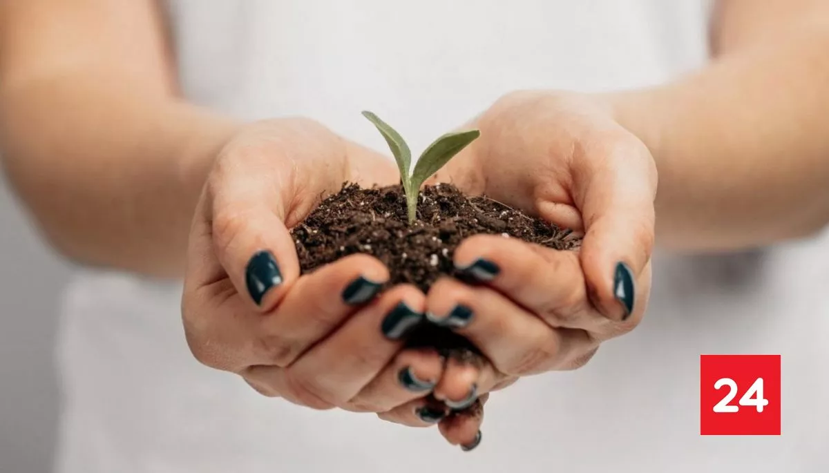 Día de la Tierra 2026: Qué es, por qué se celebra el 22 de abril y qué acciones realizar en casa