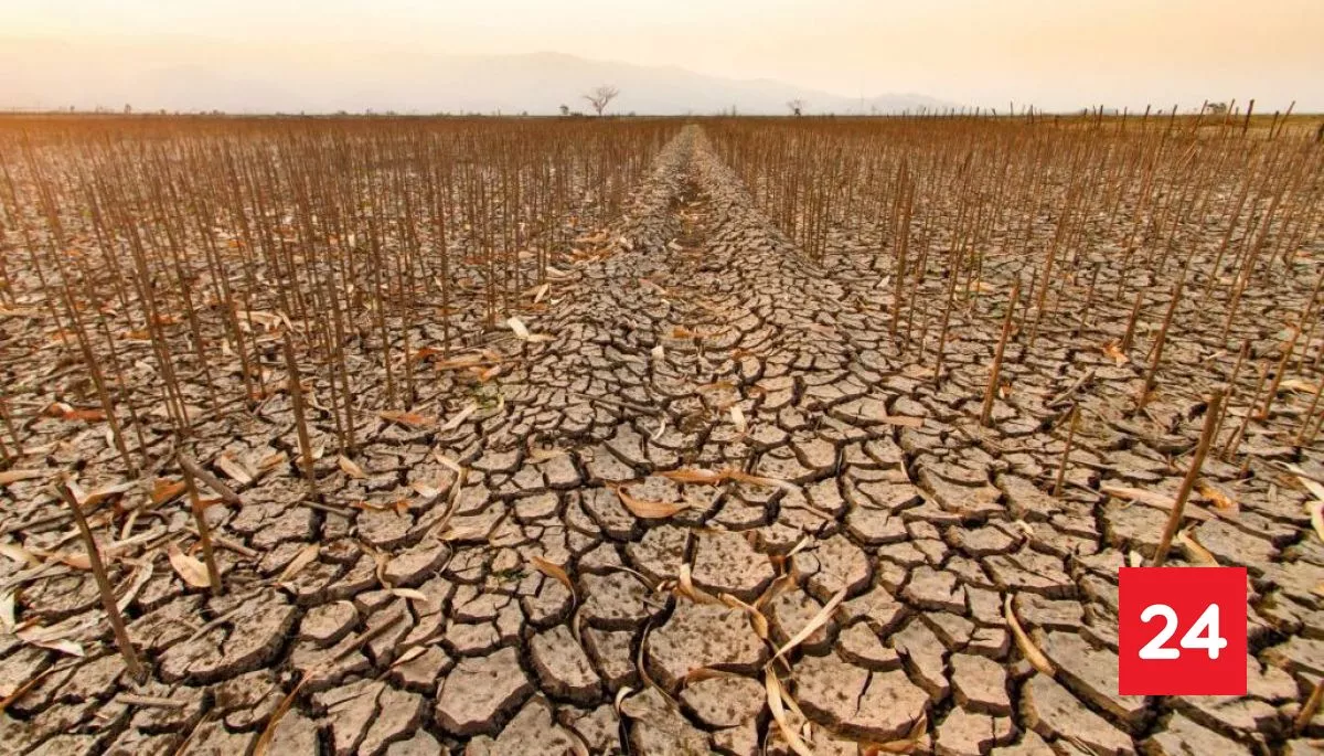 #TecnologiaYCiencias 

Día de la Tierra: avances regulatorios no logran frenar el deterioro ambiental

Más detalles ⬇️