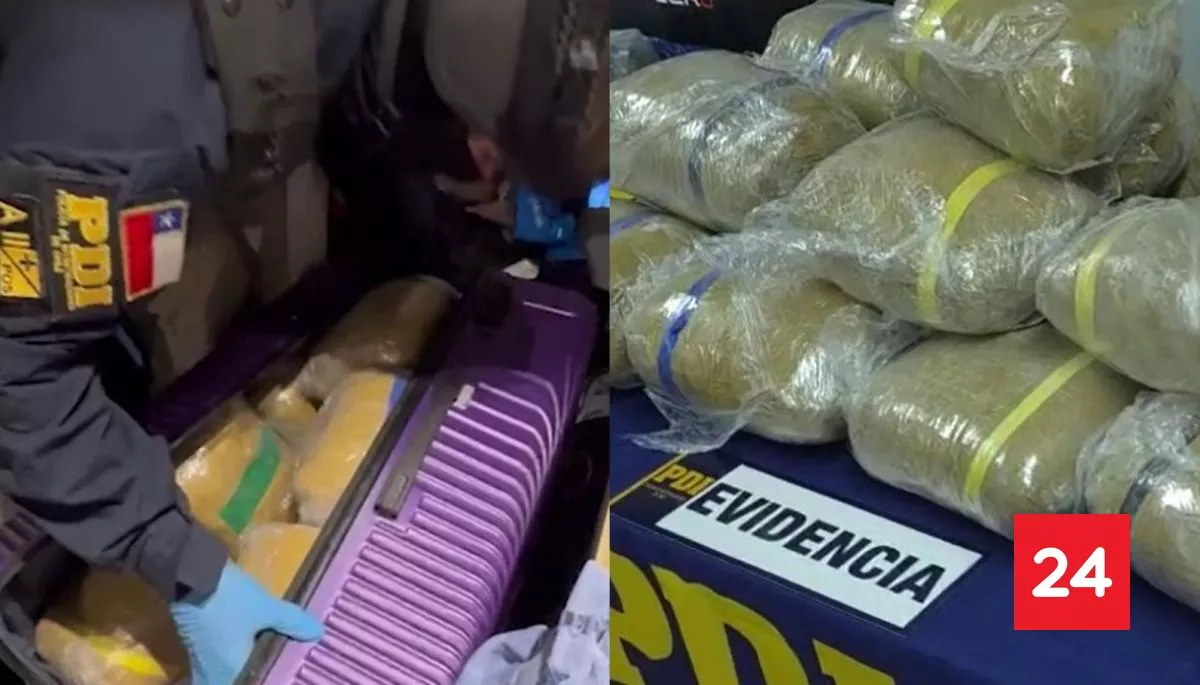 VIDEO: operativo en la "Pequeña Caracas" contra centros de acopio logra millonario decomiso de marihuana