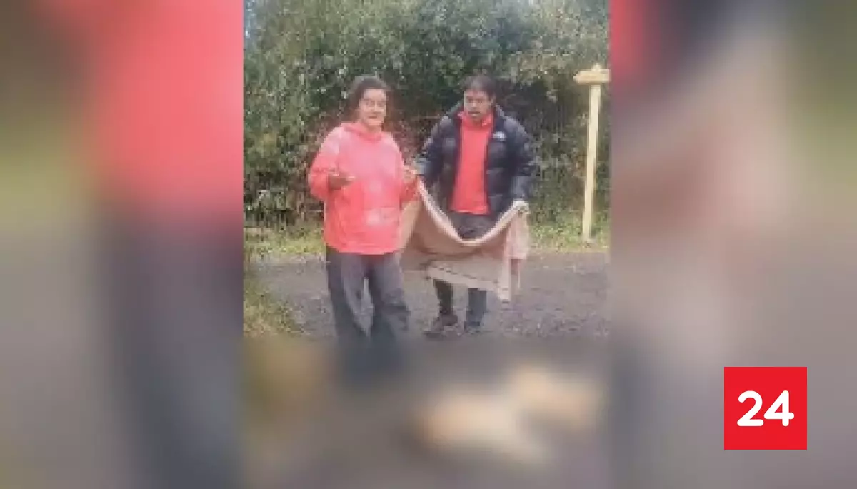 #Regiones 

Descuido eléctrico terminó en tragedia en Pucón: dos mascotas perdieron la vida

Más detalles ⬇