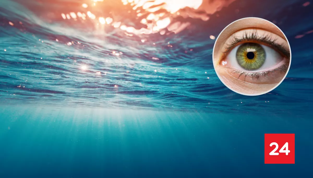 #Internacional 

Estudio advierte que un patógeno presente en peces y mariscos podría estar detrás de un aumento de casos de inflamación ocular y presión elevada en los ojos.

Más detalles⬇️