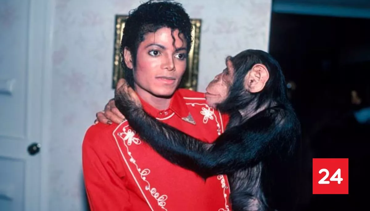 ¿Qué fue de Bubbles? Así luce actualmente el famoso chimpancé de Michael Jackson