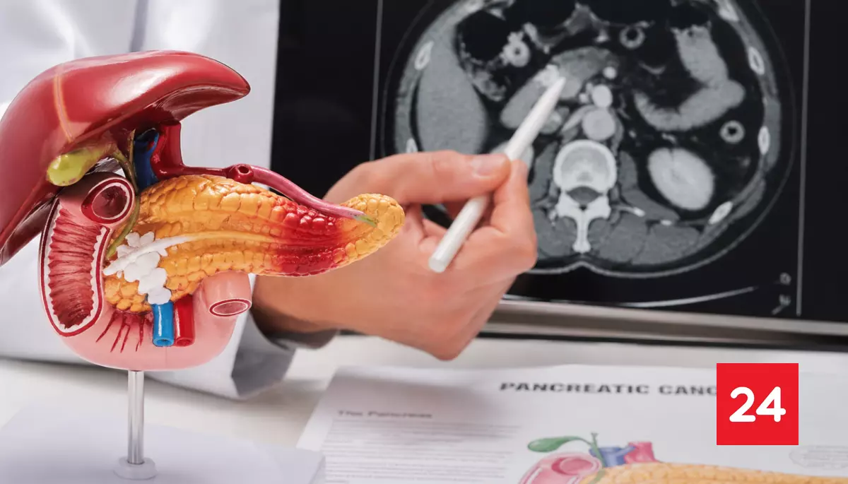 "La investigación no está en duda": retractan publicación de estudio que eliminó cáncer de páncreas en ratones