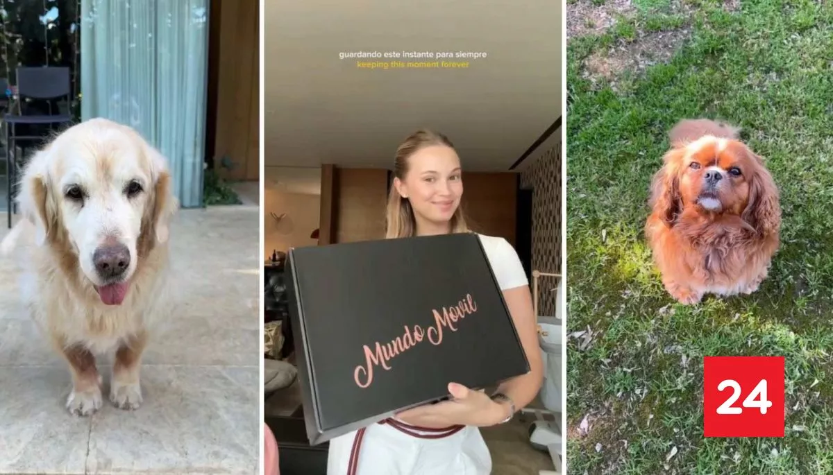 Inspirado en sus perritos: El tierno regalo que recibió la hija de Alexis Sánchez