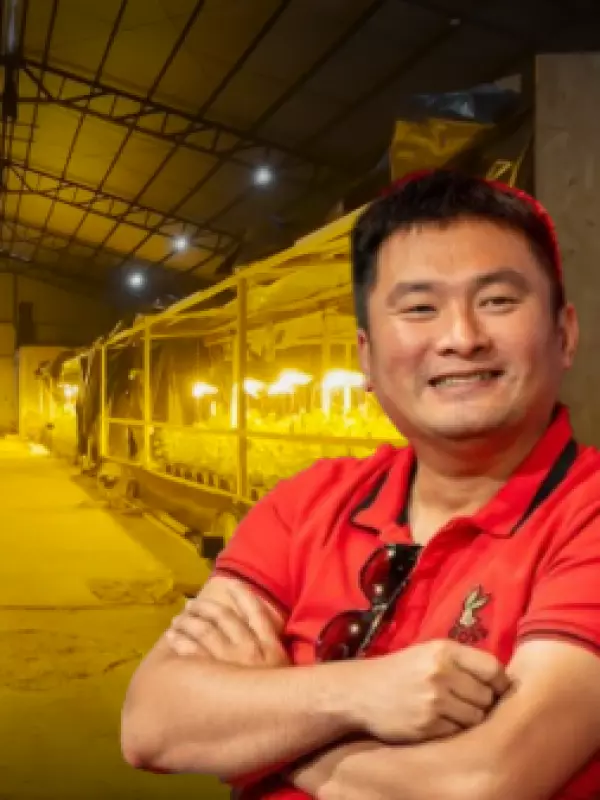 Megabodegas de marihuana en O'Higgins: nexo clave de mafia Bang de Fujian cumplirá pena en libertad