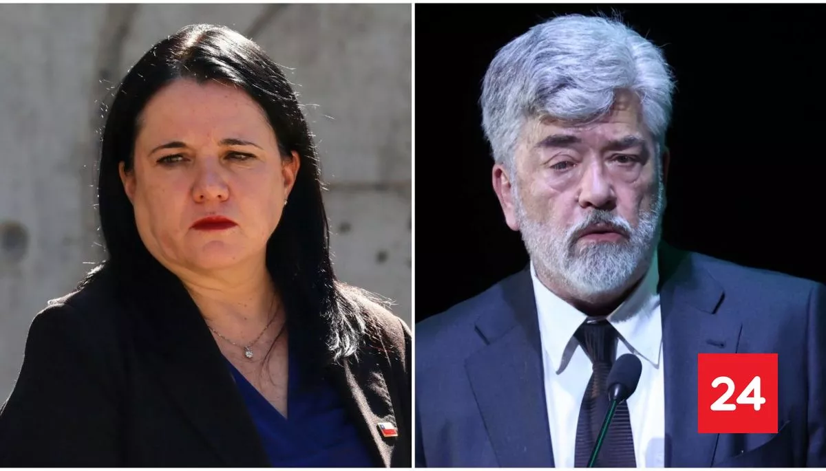 "Decir que aumenta la impunidad policial es invertir la realidad": Steinert por Ljubetic y Ley Nain-Retamal