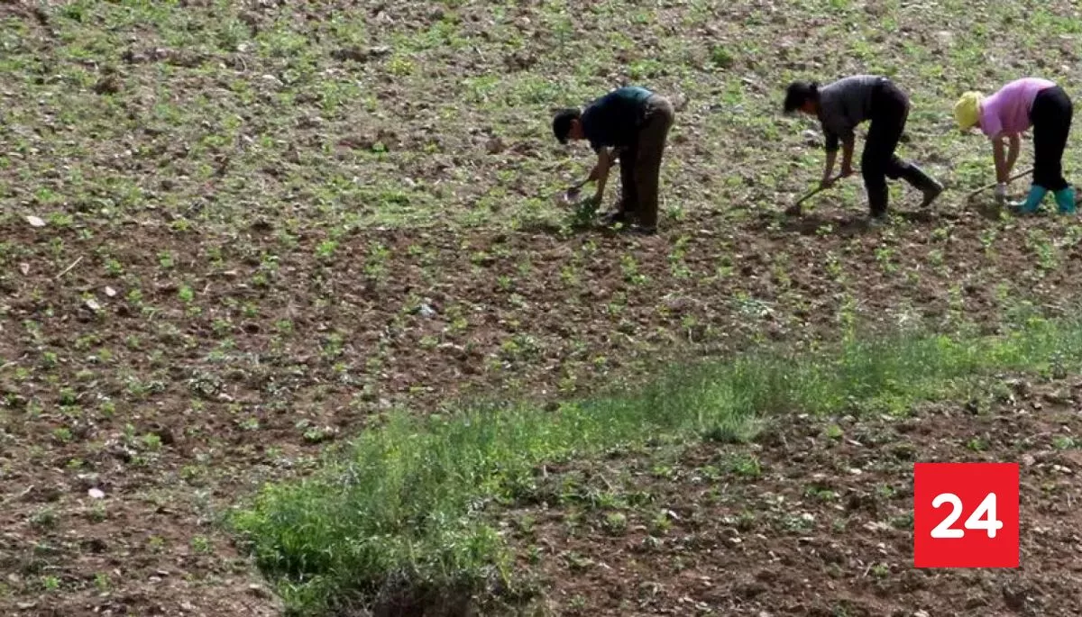 Corea del Norte sufre "sequía sin precedentes"