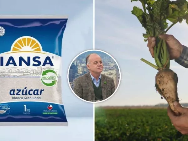 Un kilo de azúcar, Antonio Walker y una remolacha