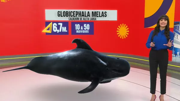 Revivamos Conciencia 24.7: 14 de mayo.
