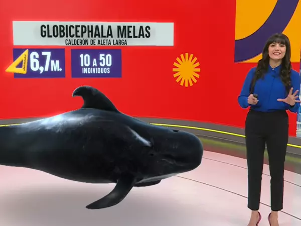 Revivamos Conciencia 24.7: 14 de mayo.