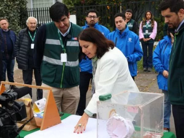 mosca fruta las condes