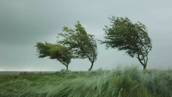 viento fuerte