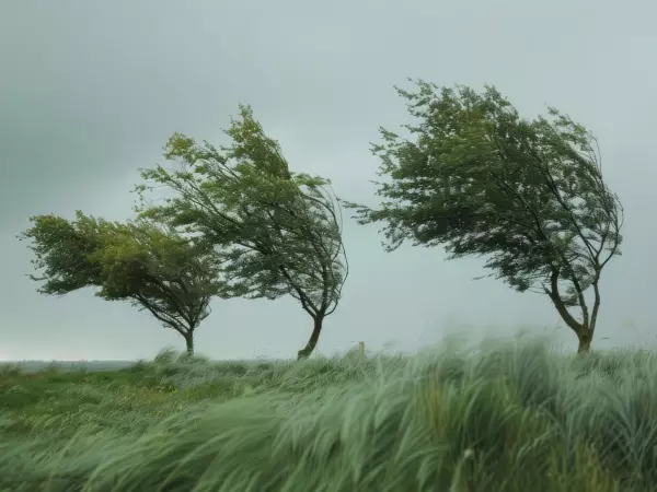 viento fuerte