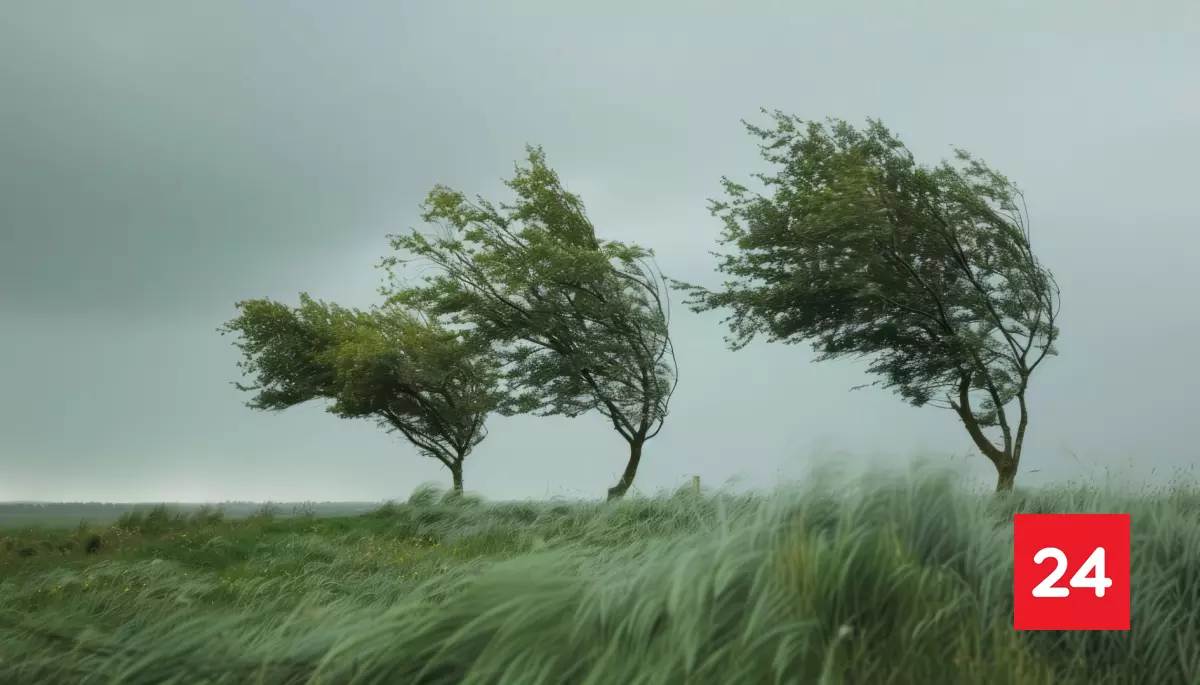 Declaran alerta temprana preventiva por fuertes vientos en provincias de Magallanes y Tierra del Fuego