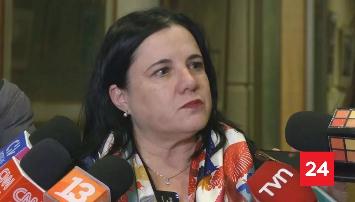 Oposición y PDG anuncian interpelación a ministra Steinert con el fin de "conocer cuál es el plan de seguridad"