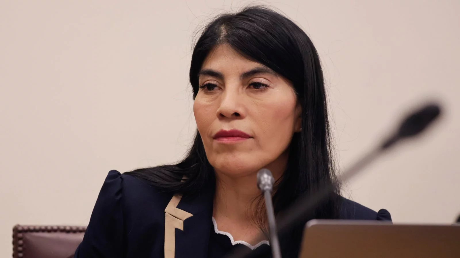 Ministra Ximena Lincolao en el Senado
