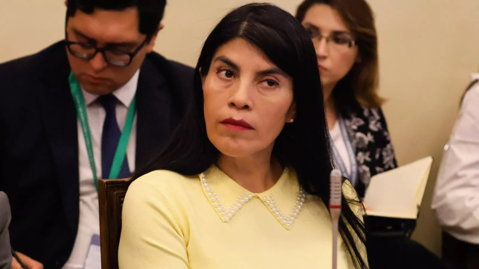 Ministra Ximena Lincolao en una sesión de la Comisión de Ciencias del Senado