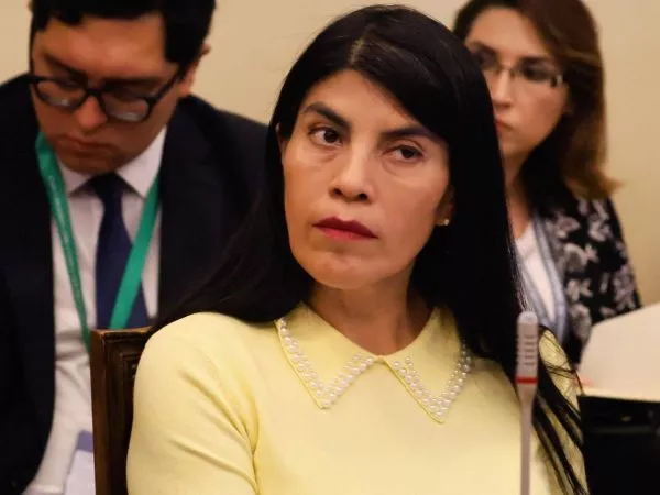 Ministra Ximena Lincolao en una sesión de la Comisión de Ciencias del Senado