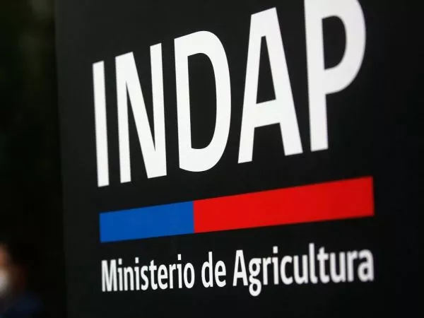 Logo de INDAP