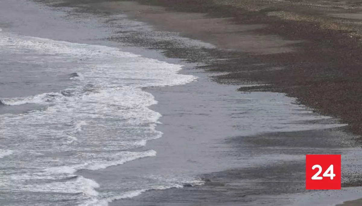⭕ #AHORA24H 

SHOA descarta tsunami en Chile tras fuerte sismo en el norte

Más detalles⬇️