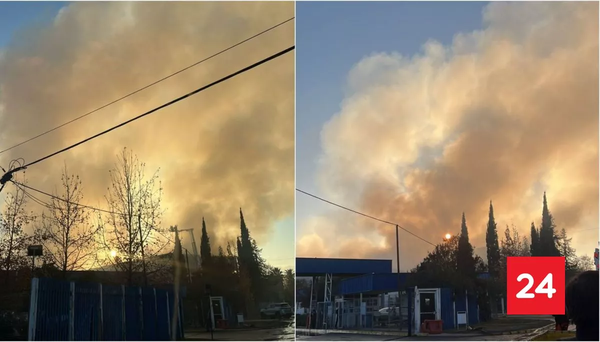 #Nacional

100 familias evacuadas en Buin: Bomberos combate gran incendio en planta frigorífica

Más detalles ⬇