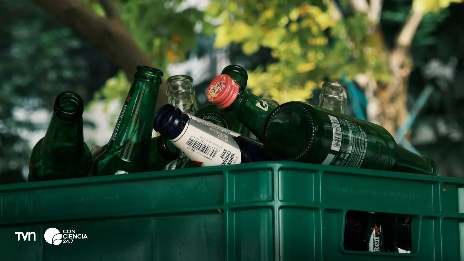 Reciclaje, Ley REP.
