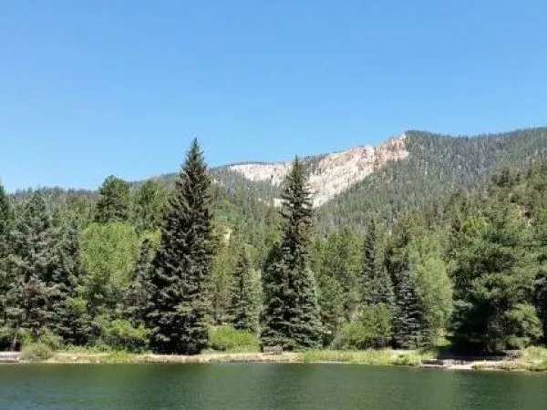 Bosque Nacional Carson