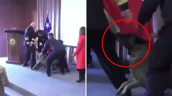 Perro antidrogas mordiendo a vicealmirante de la Armada