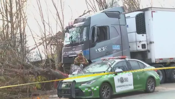Delincuentes robaron camión con huevos en Paine: chocaron e intentaron darse a la fuga Los detenidos fueron identificados como dos hombres adultos de nacionalidad chilena, quienes cuentan con un amplio prontuario policial por diversos delitos.