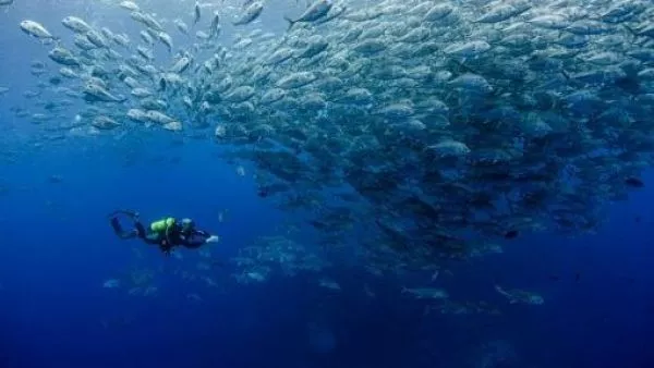 oceanos UdeC