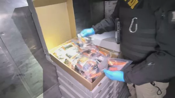 Valdivia abre sumario por funcionario detenido en red de comercio ilegal de productos del mar