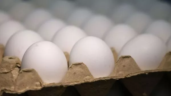 Sernac confirma que concepto de "gallinas felices" no existe legalmente El reporte además confirmó que no existen diferencias nutricionales entre los huevos blancos y los de color.