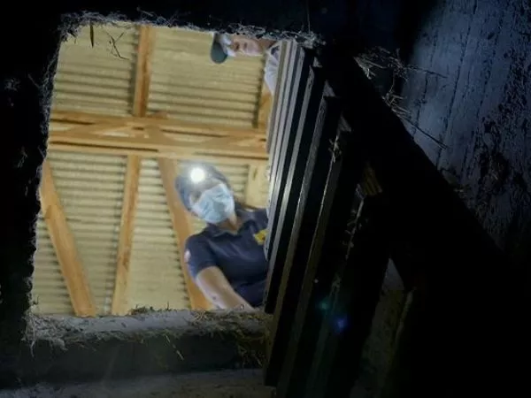 Adelanto exclusivo de Informe Especial: encuentran nuevos bunkers y túneles en Colonia Dignidad