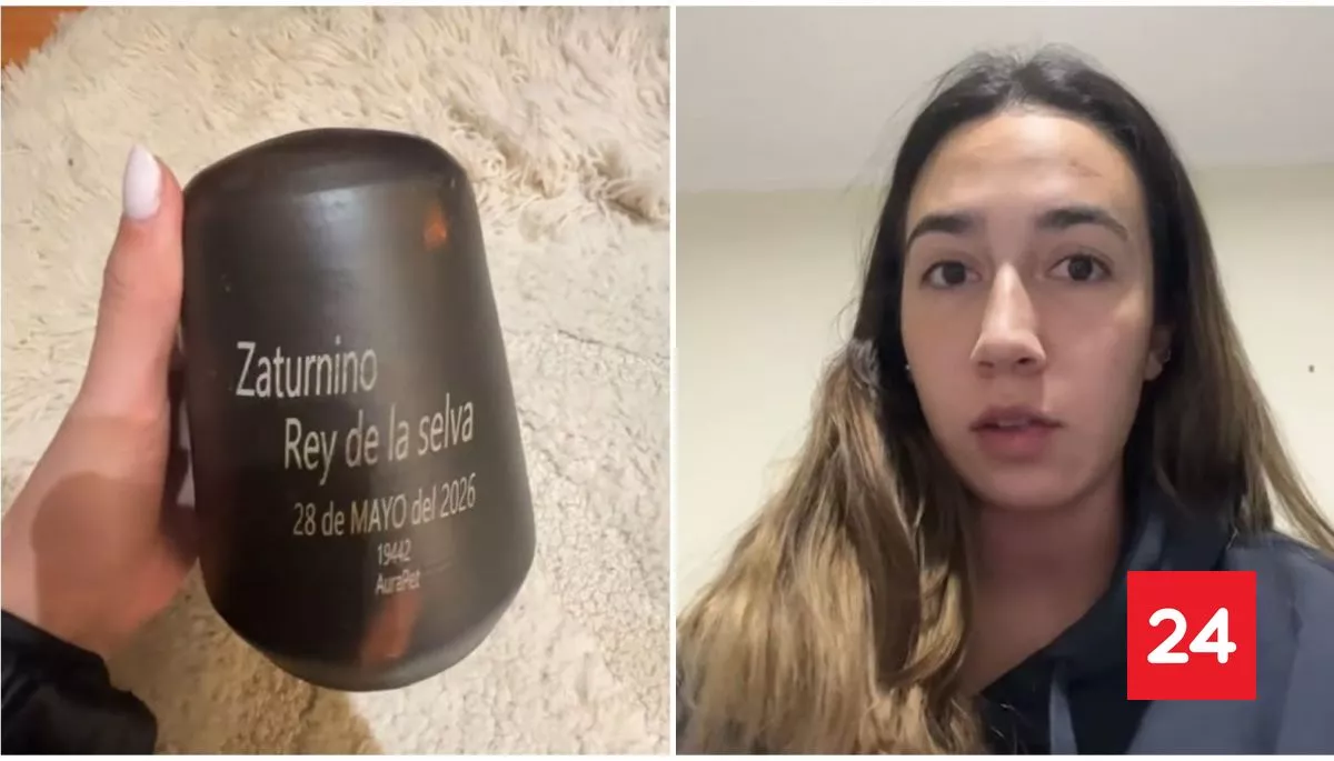 ✨ #Tendencias 

"Lo asumo como perdido": joven denuncia insó