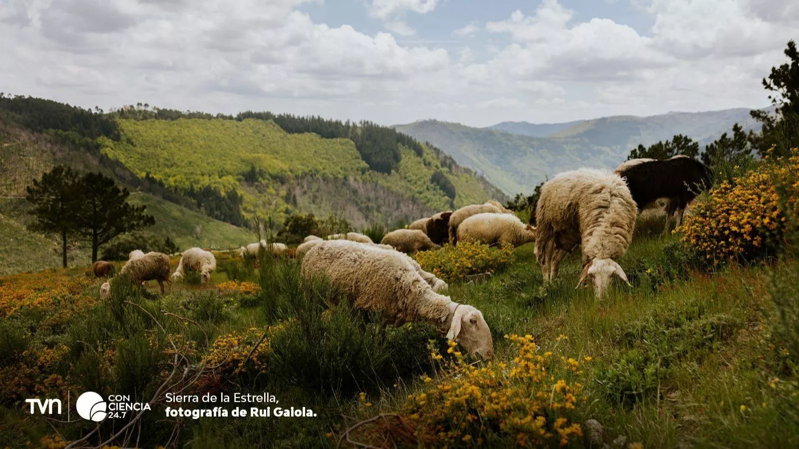 UNESCO suma 14 nuevas reservas de biosfera en el mundo.