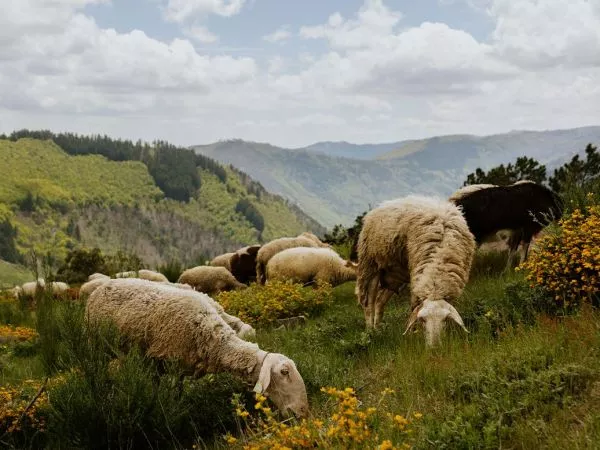 UNESCO suma 14 nuevas reservas de biosfera en el mundo.