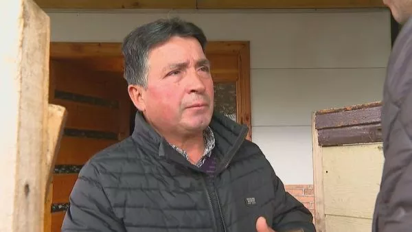 Conmoción en Loncoche: mujer fue brutalmente asesinada al interior de su vivienda