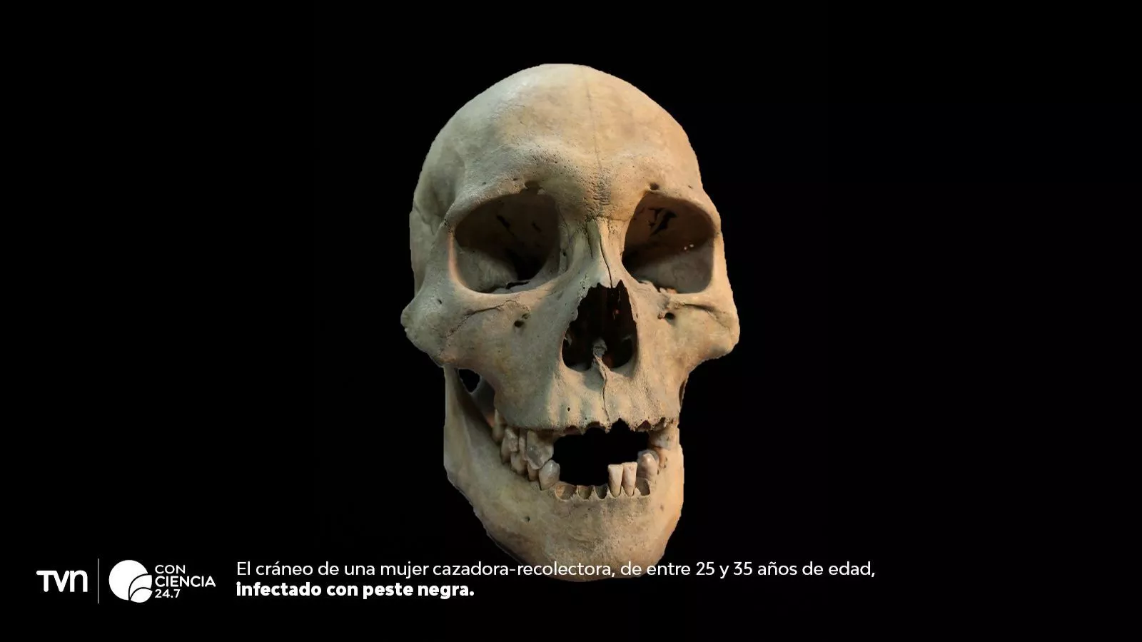 Descubren el brote de peste más antiguo conocido.